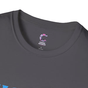 Husband Dad Protector Hero Soft style T-Shirt