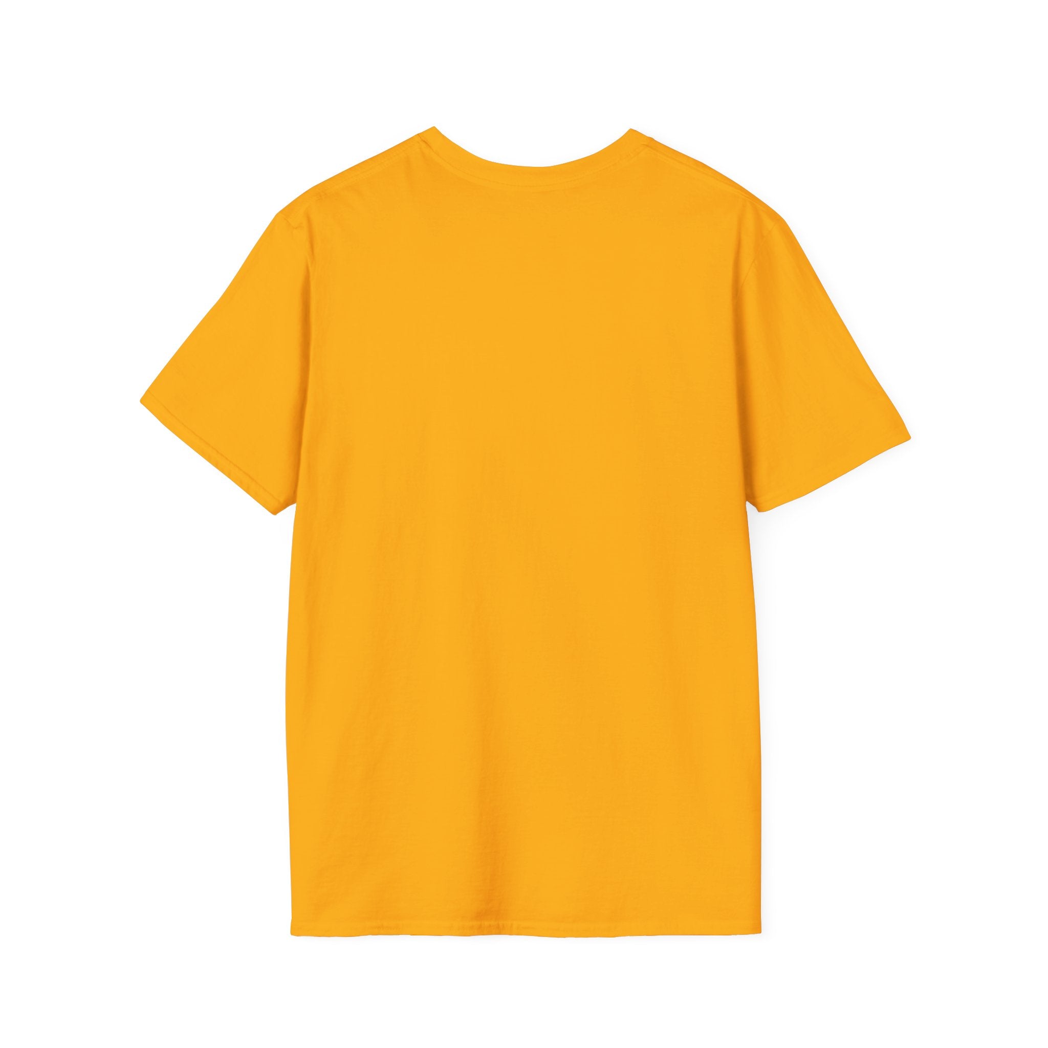 I am enough Soft style T-Shirt