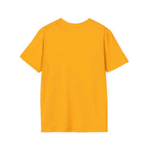 I am enough Soft style T-Shirt